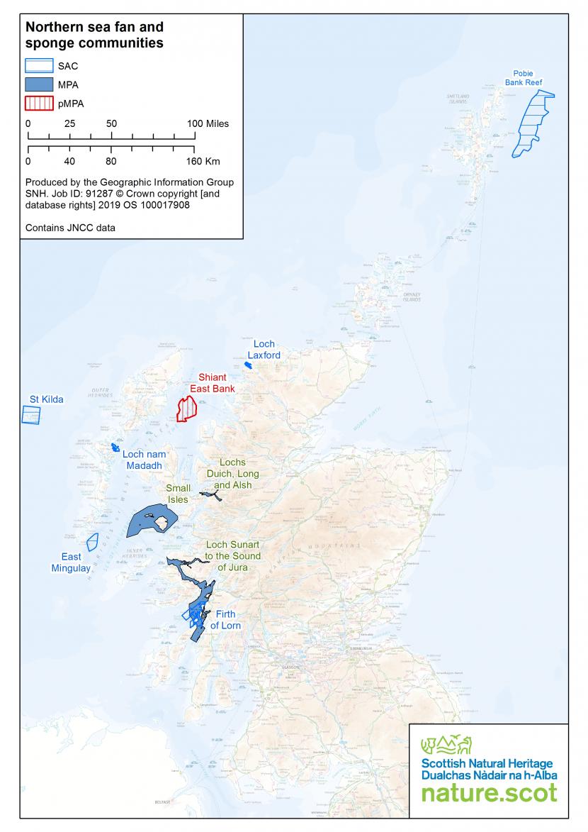 North sea fan and sponge communities map