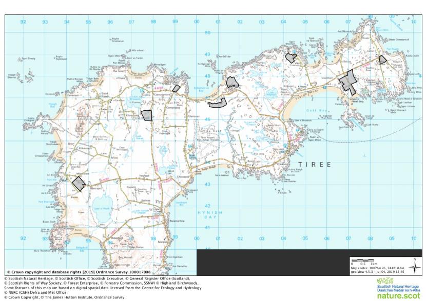 Uist, Coll and Tiree Barnacle Goose Management Scheme - Tiree eligible fields