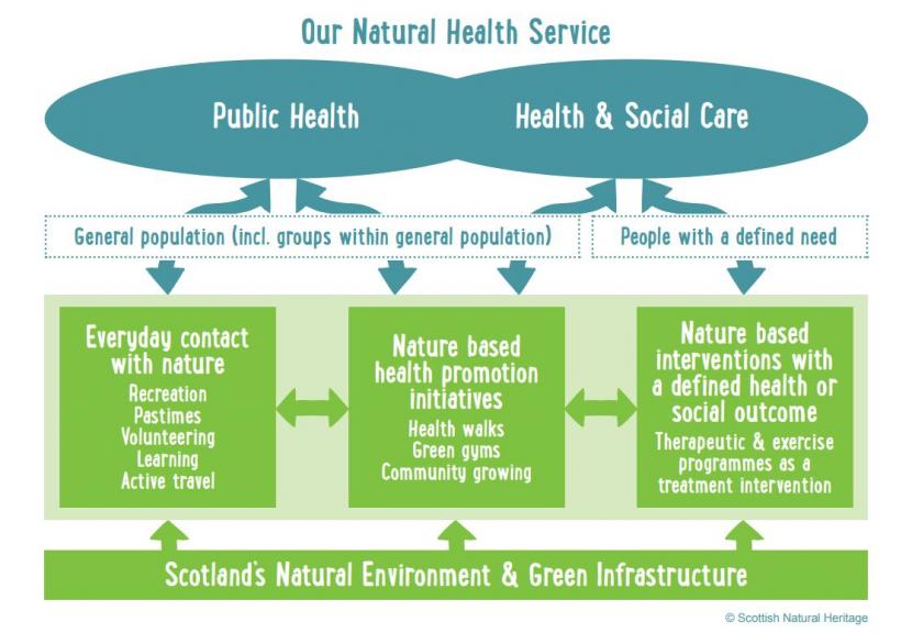 Our natural health service diagram