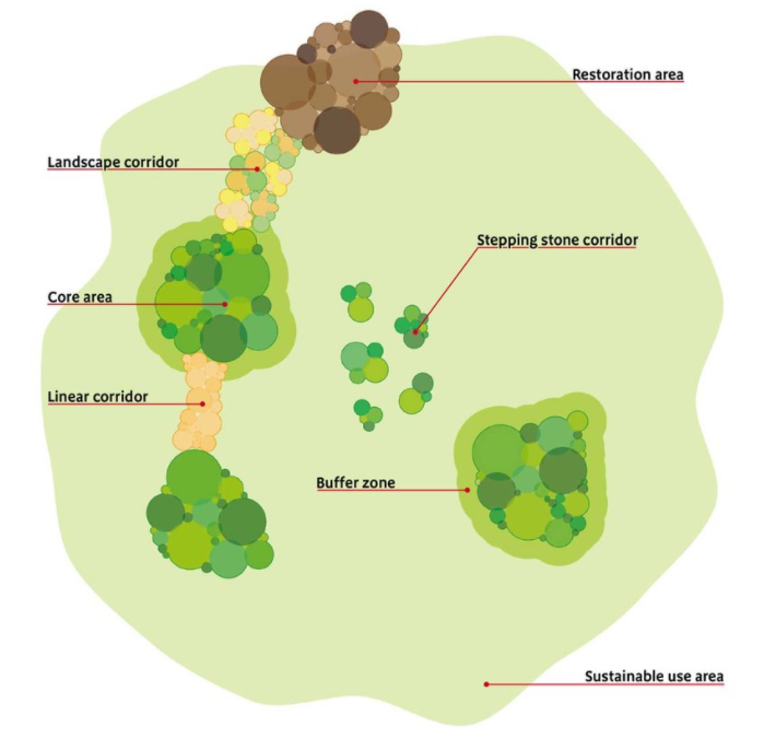 The image shows a simplified landscape with discrete core areas, important for biodiversity, that are isolated from one another.   It shows various ways in which the health of these core areas, and so their positive contribution to biodiversity, can be increased. This can be achieved through two main means; improvement of the broader landscape within which they sit so it is more hospitable towards biodiversity and also, through strategic connections between these core areas for biodiversity. These come in t