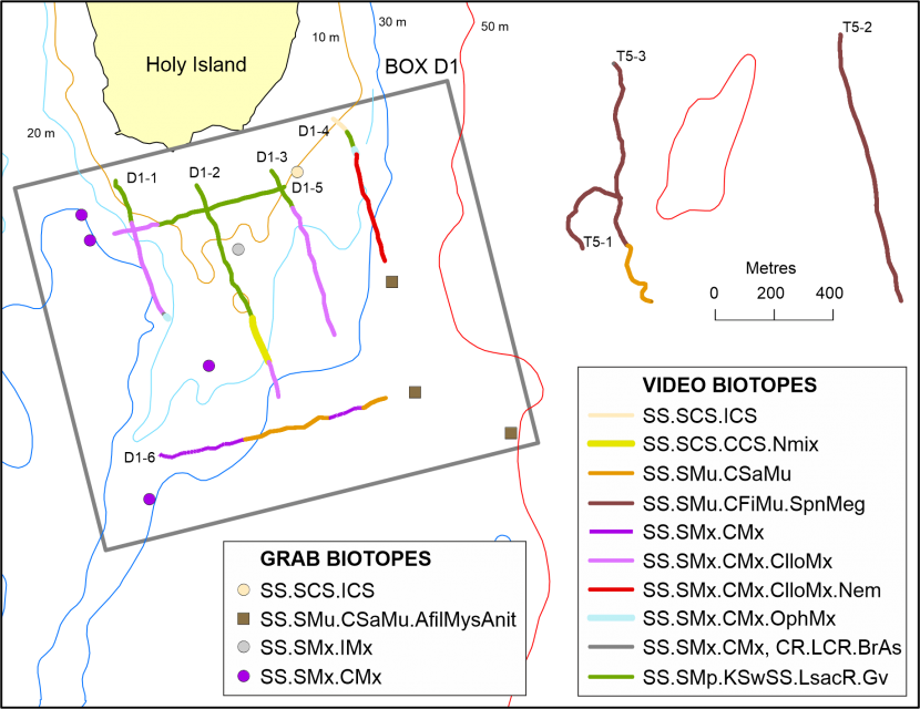 The distribution of seabed habitats or biotopes observed along drop-down video monitoring transects and at point grab sampling stations within and adjacent to Arran monitoring box D1