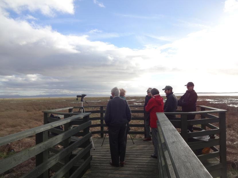Visitors standing on viewing platform with telescopes looking over the reserve.