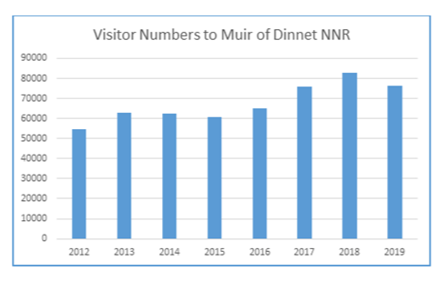 Bar graph showing visitor numbers.