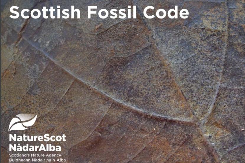 Palaeogene fossil leaf, Mull with Scottish Fossil Code text and NatureScot logo