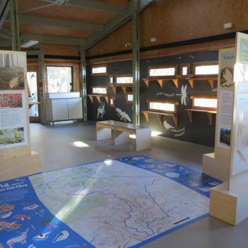 the interior of the Loch Garten Osprey centre, showing horizontal narrow windows for bird watching, a map on the floor, and interpretation panels left and right.