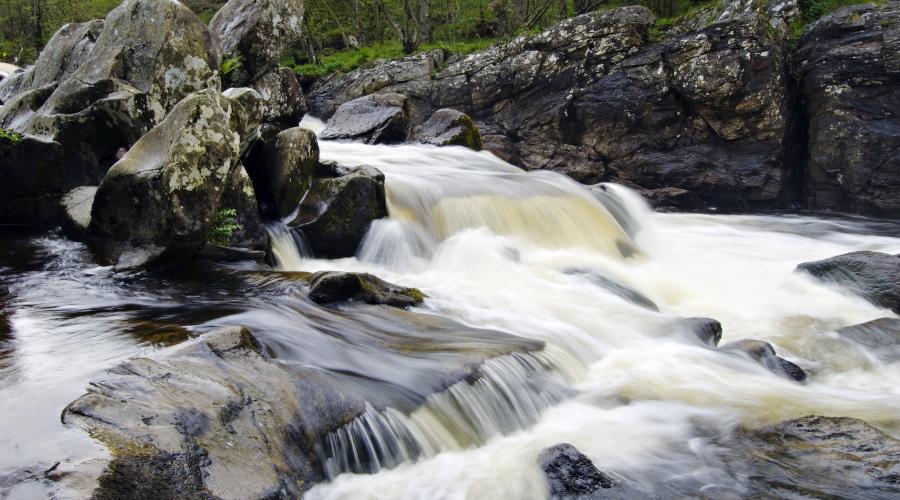 Lochs, rivers and wetlands | NatureScot