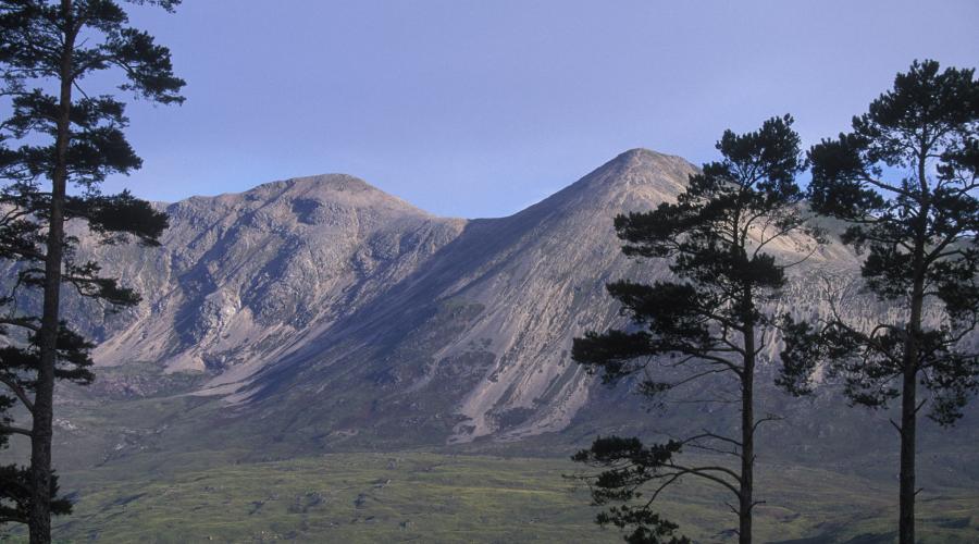 Beinn Eighe National Nature Reserve From Seed To Tree Naturescot