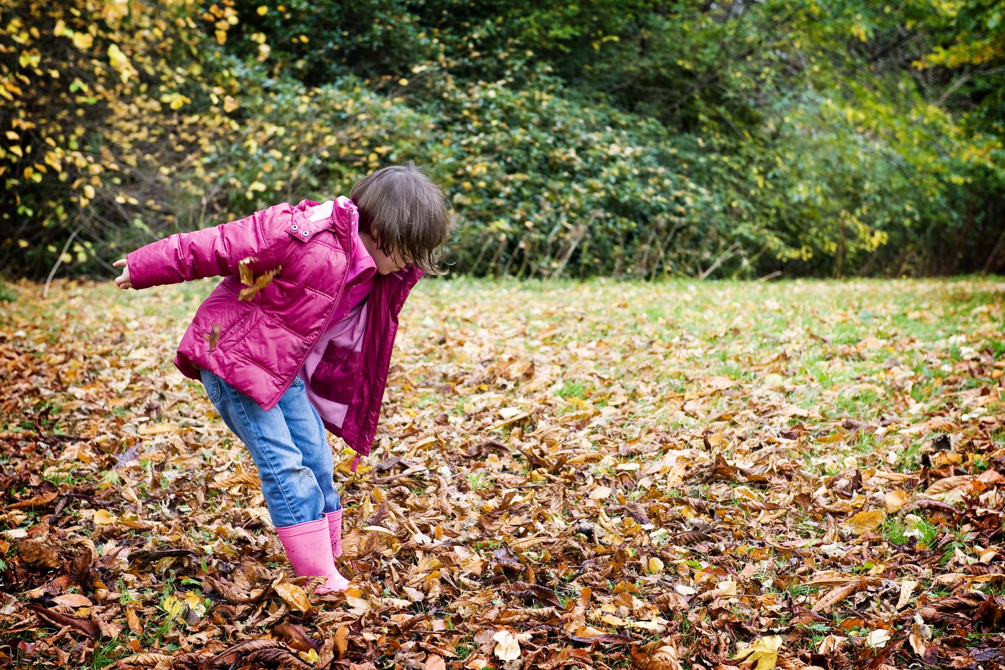 Young child jumping into pile of autumn leaves. 