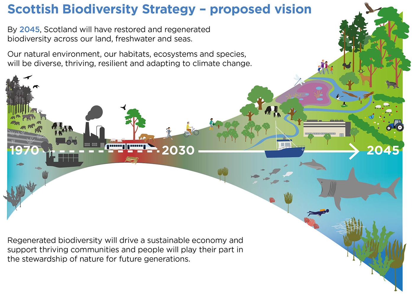 SBS - proposed vision infographic